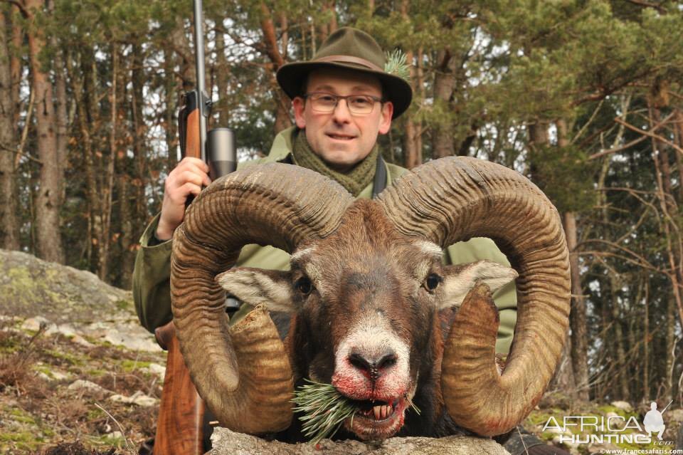 Hunt Mouflon France