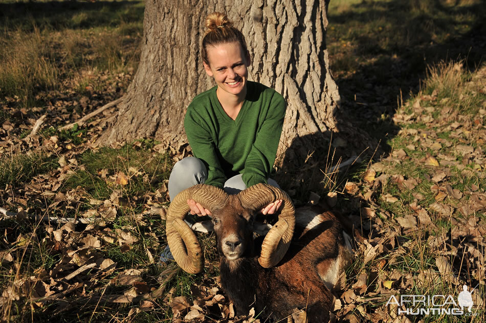 Hunt Mouflon France