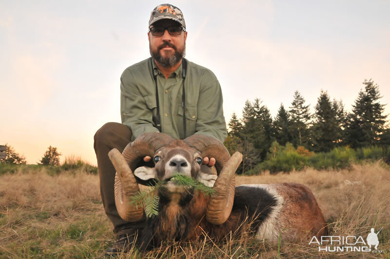 Hunt Mouflon France