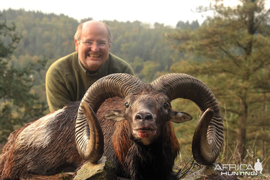 Hunt Mouflon France