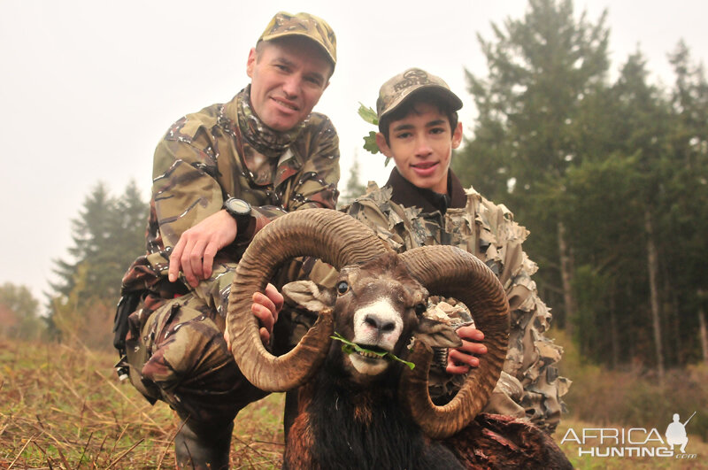 Hunt Mouflon France