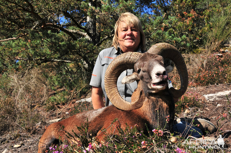 Hunt Mouflon France