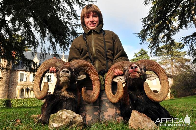 Hunt Mouflon France