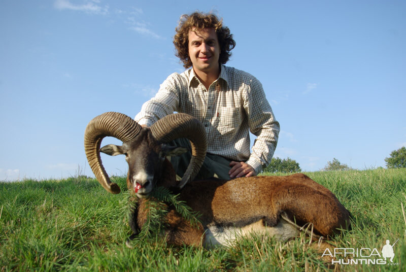 Hunt Mouflon France