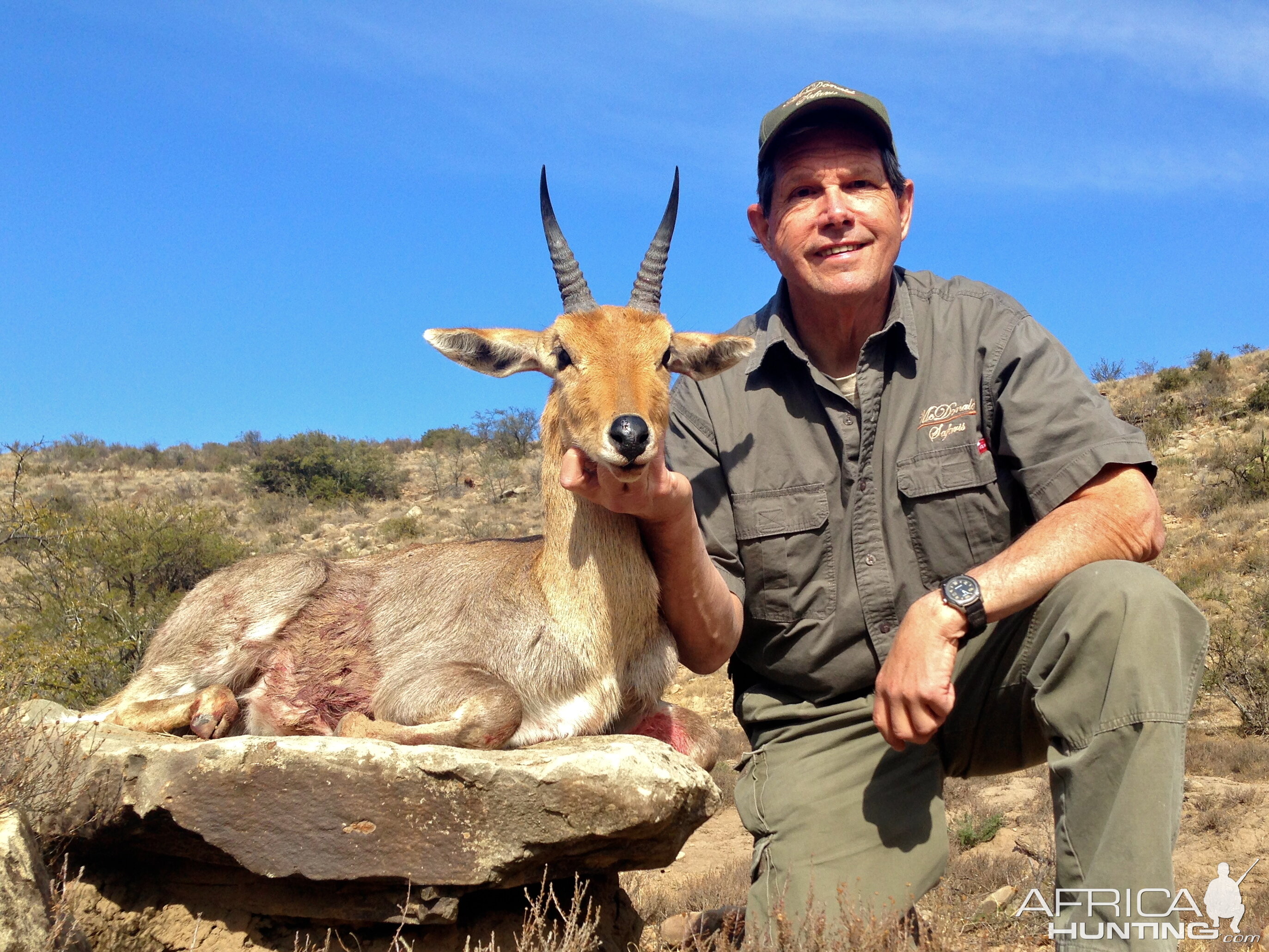 Hunt Mountain Reedbuck Eastern Cape South Africa