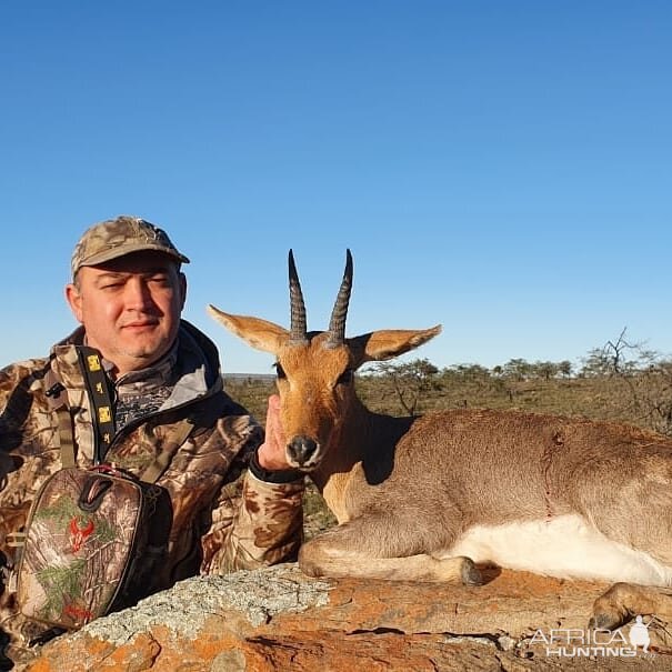 Hunt Mountain Reedbuck in South Africa