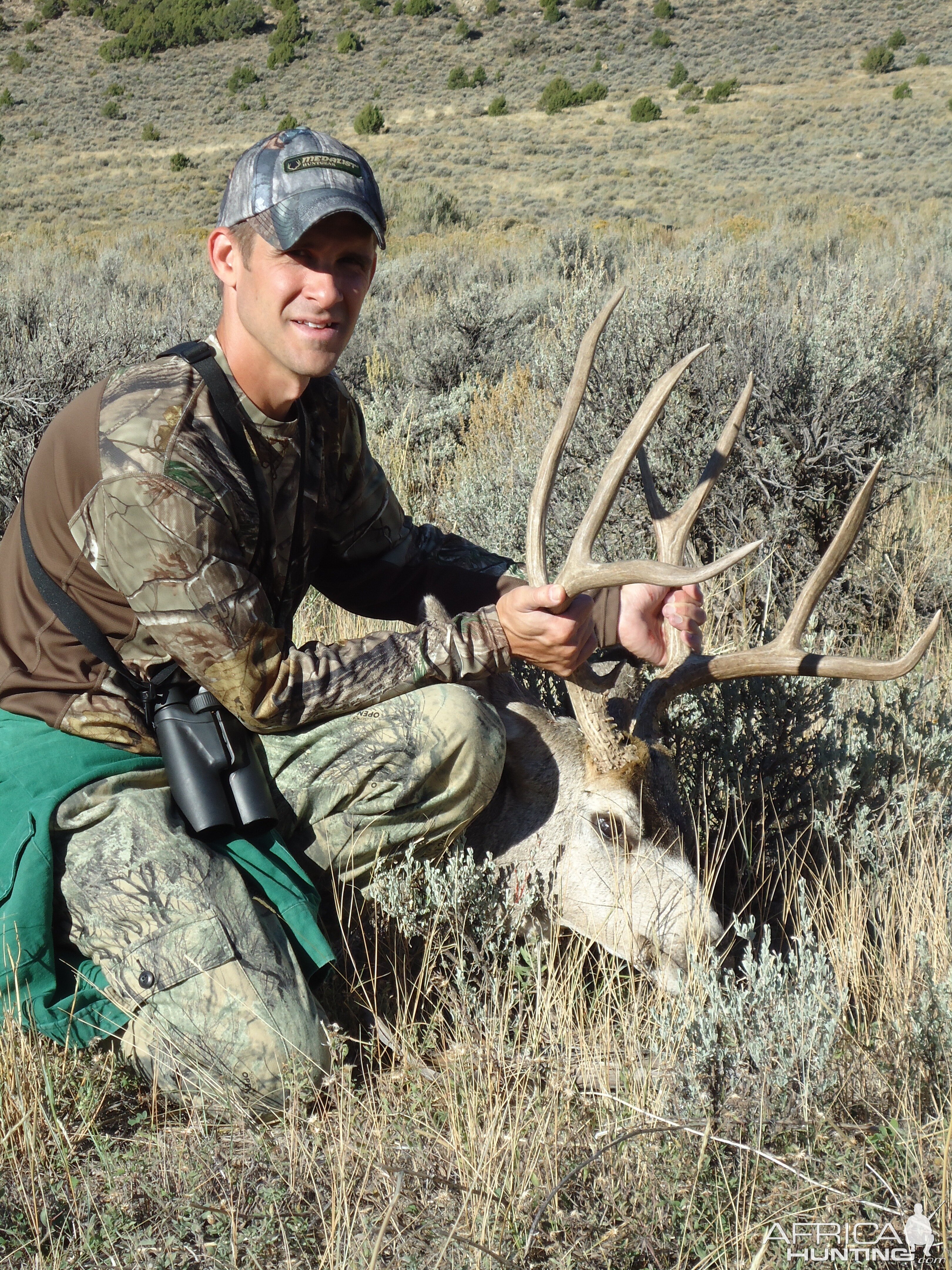 Hunt Mule Deer in USA