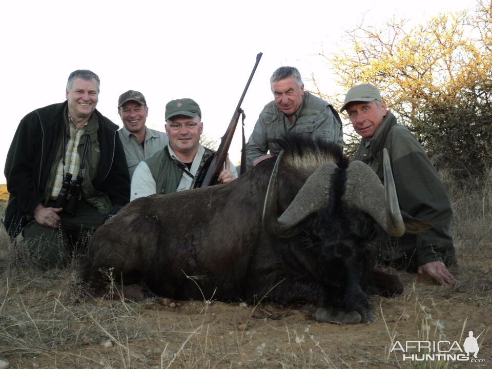 Hunt Namibia Black Wildebeest