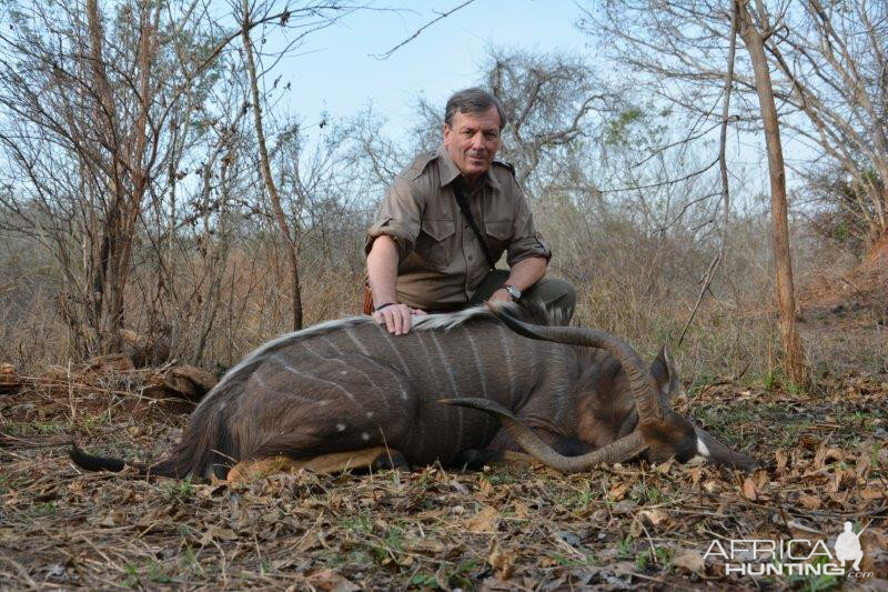 Hunt Nyala in Mozambique