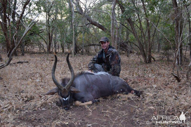 Hunt Nyala in Mozambique