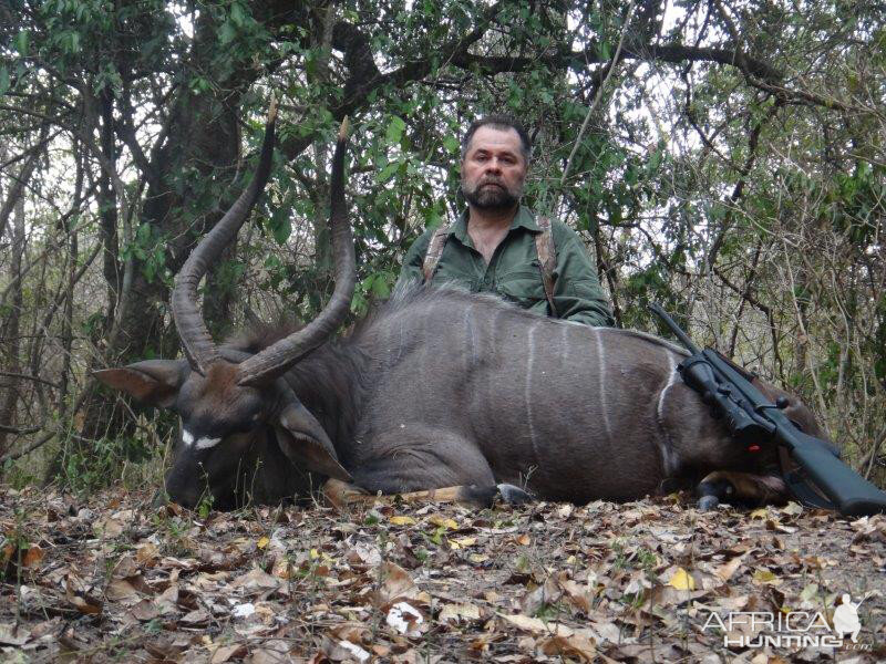 Hunt Nyala in Mozambique