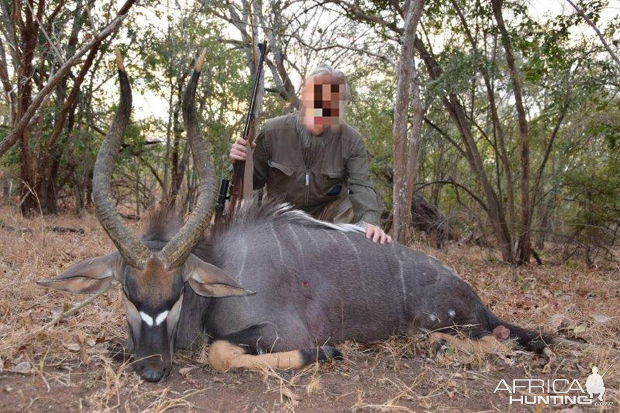 Hunt Nyala in Mozambique