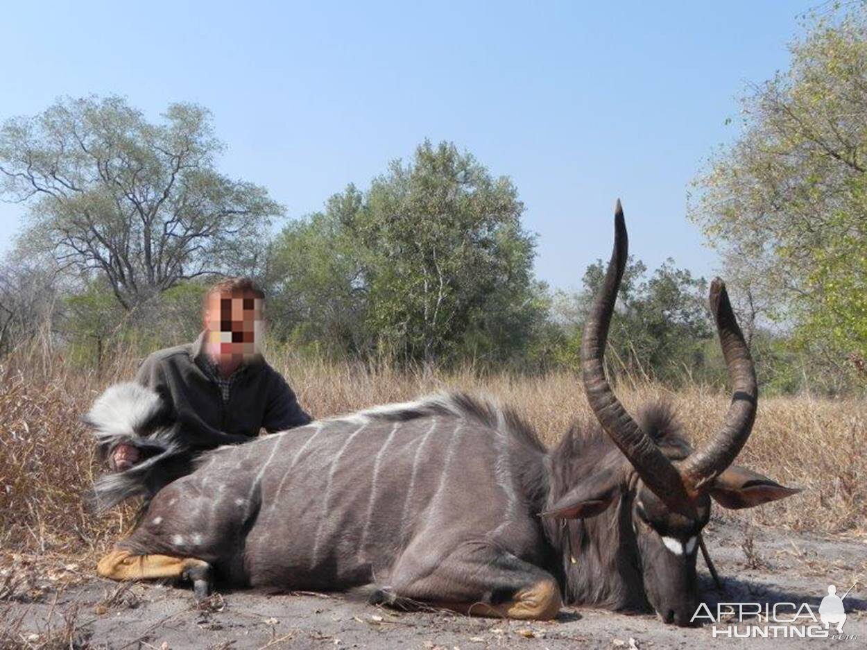 Hunt Nyala in Mozambique