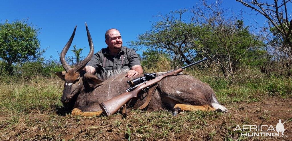 Hunt Nyala in South Africa