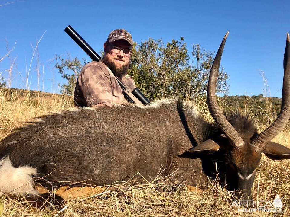 Hunt Nyala in South Africa