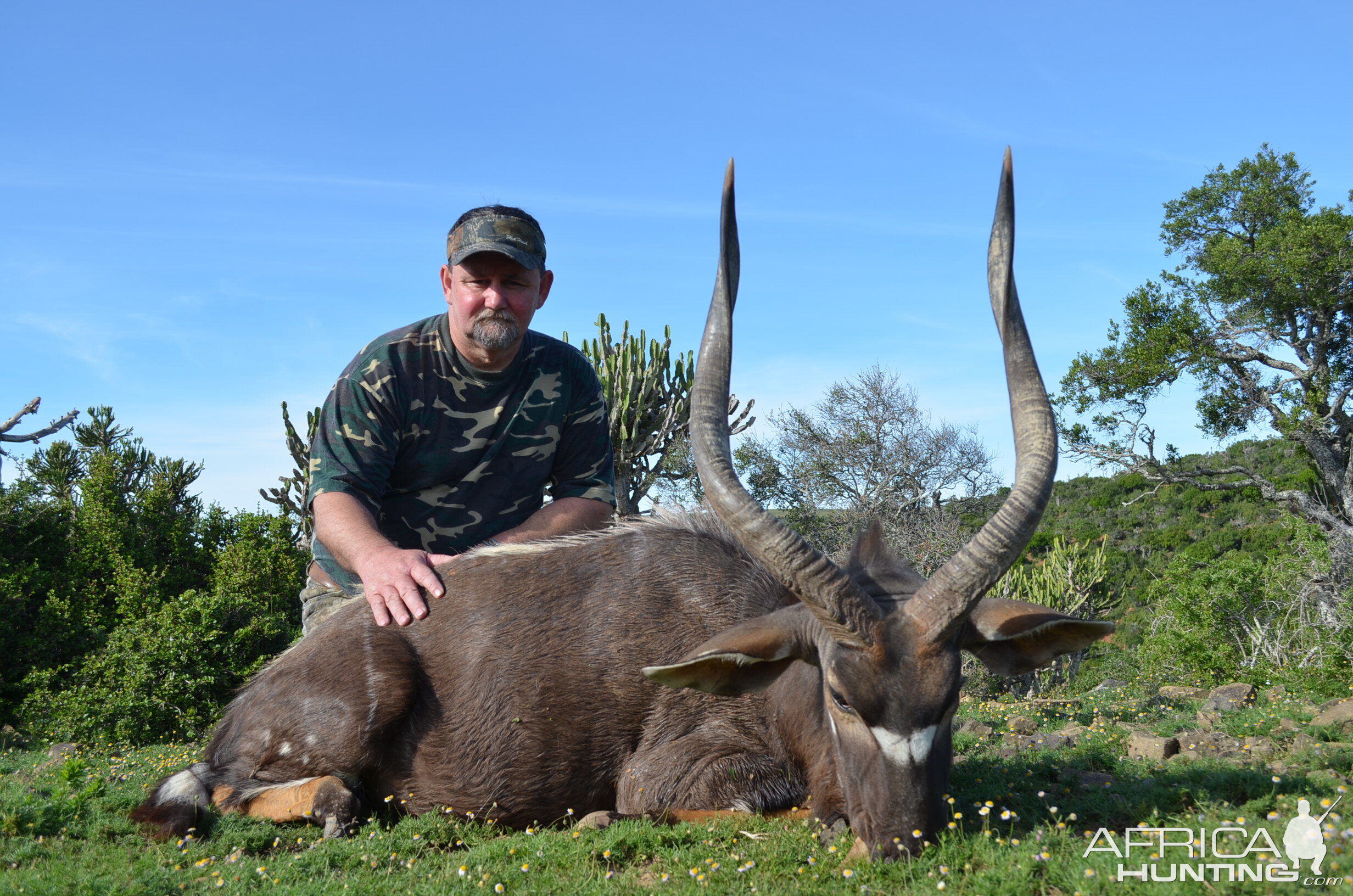 Hunt Nyala in South Africa