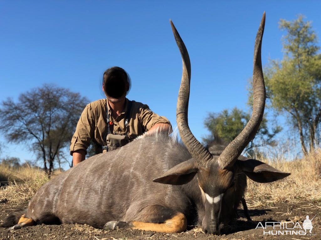 Hunt Nyala in South Africa