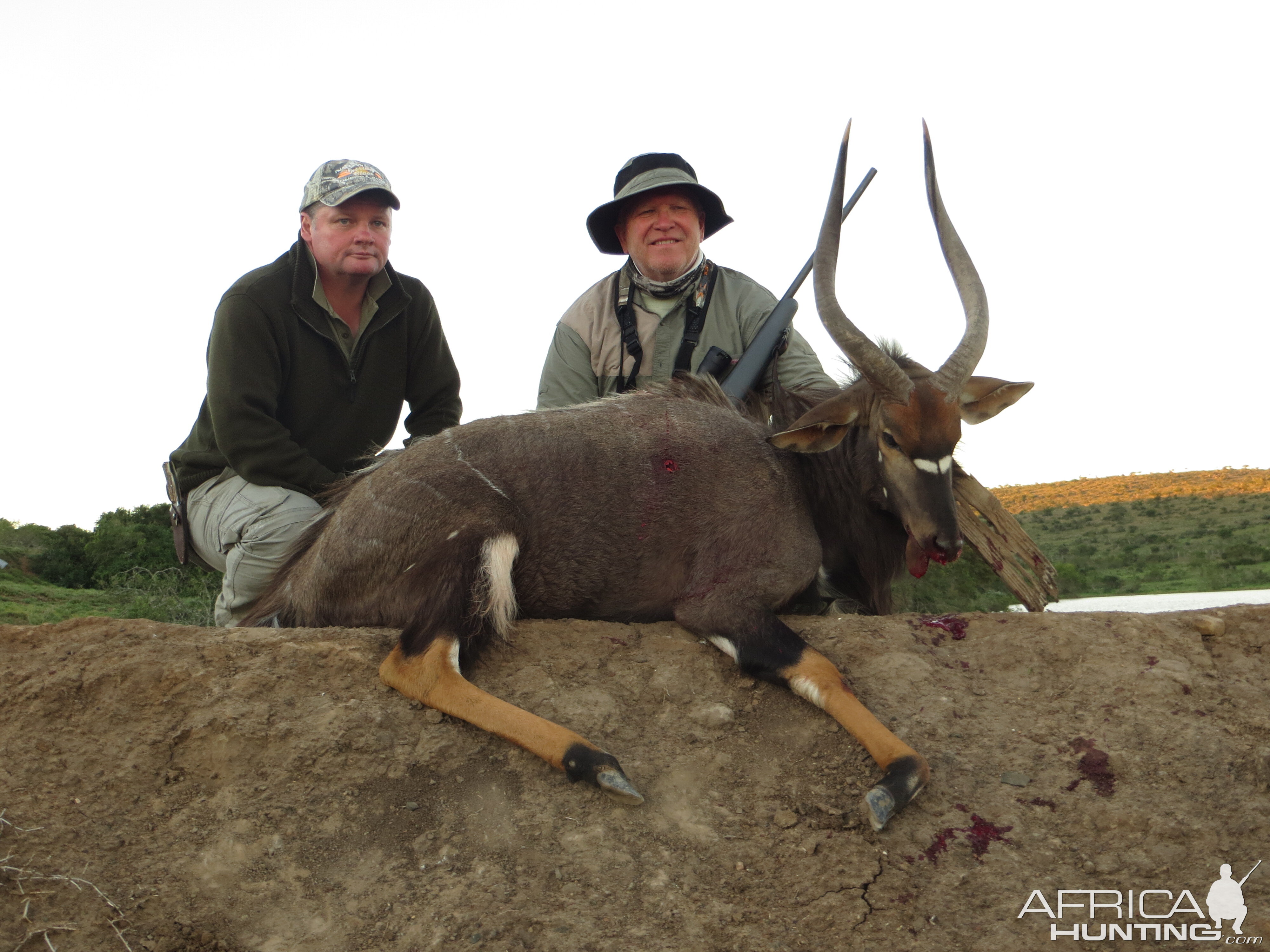 Hunt Nyala in South Africa