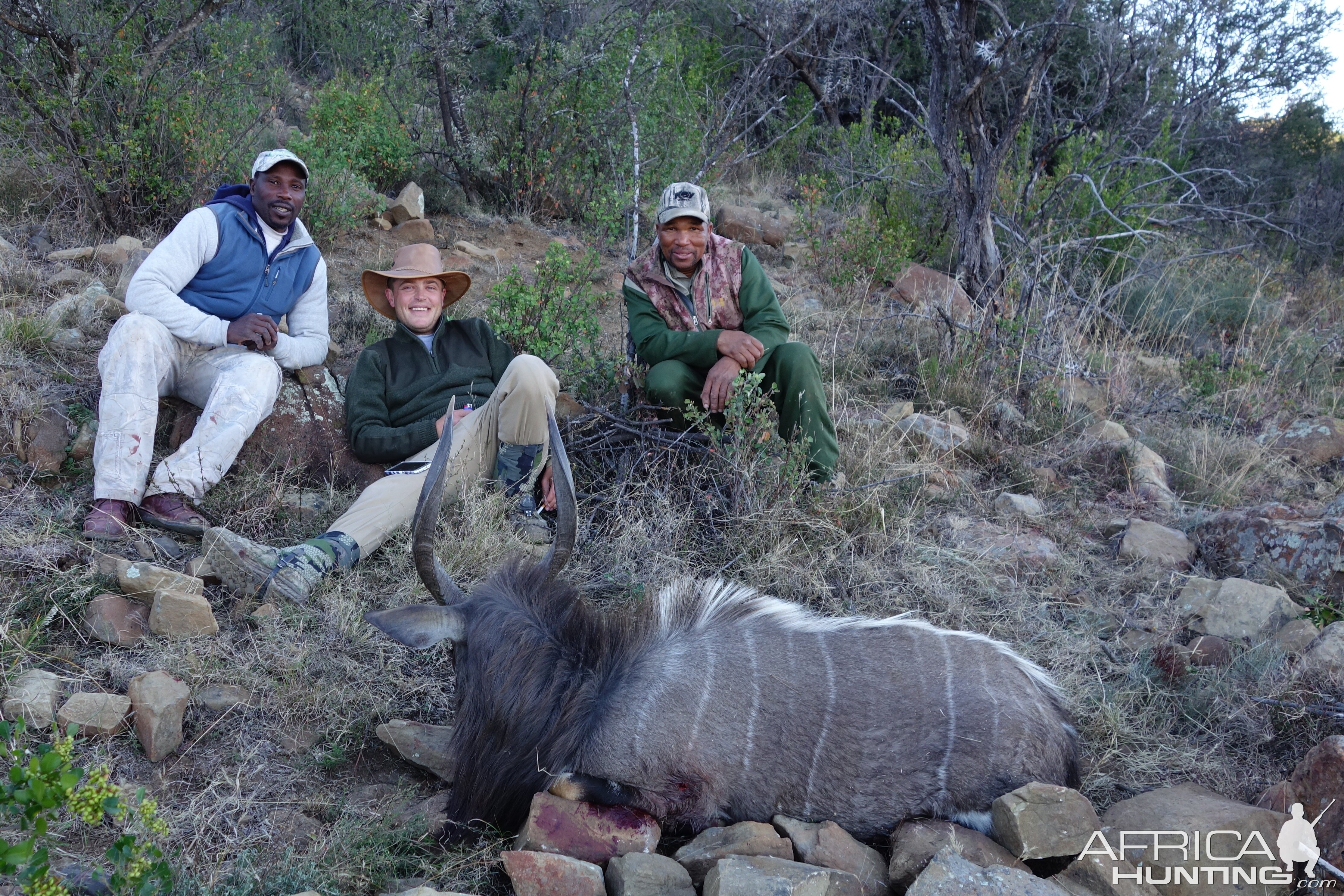 Hunt Nyala in South Africa