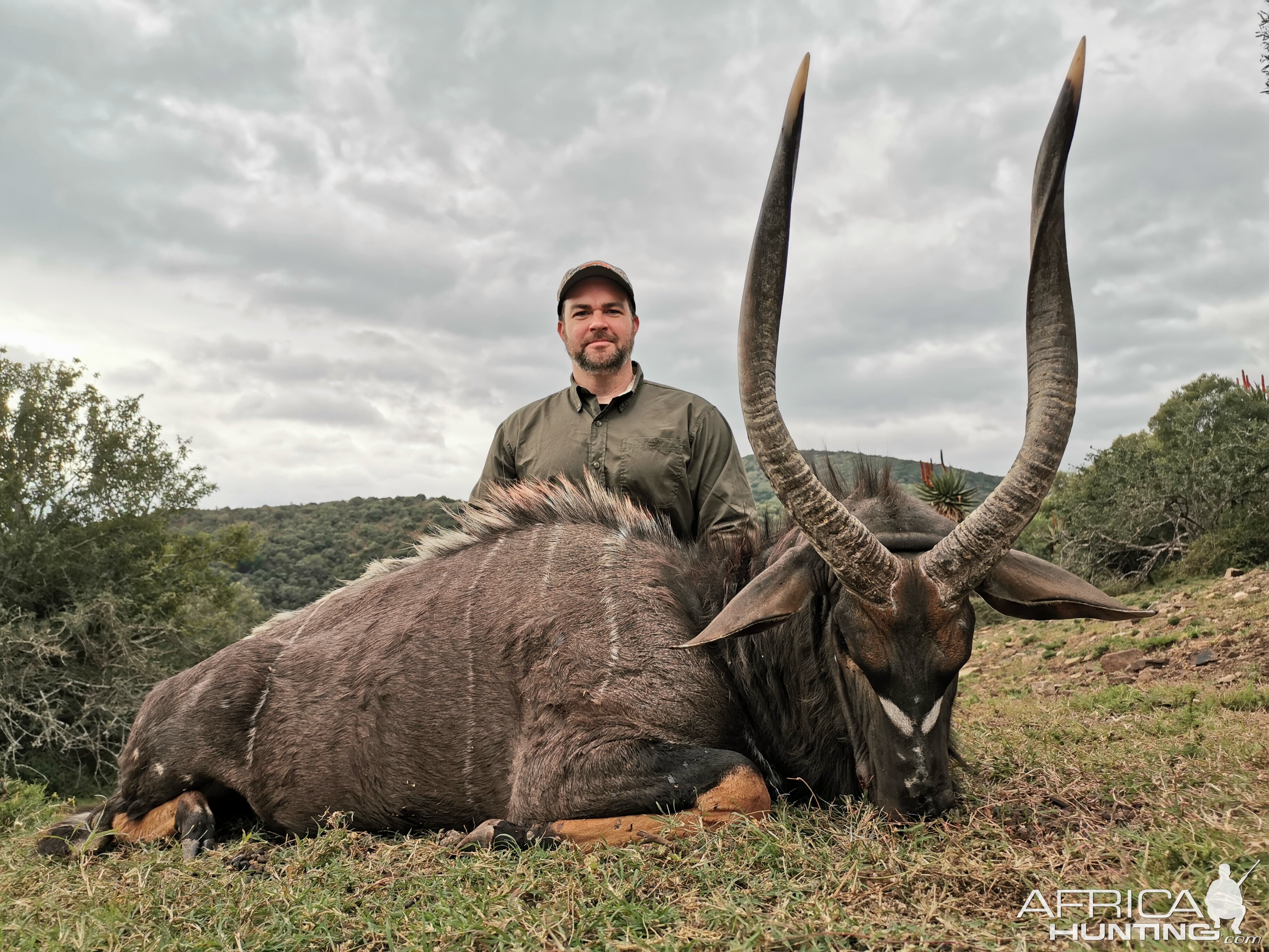 Hunt Nyala in South Africa