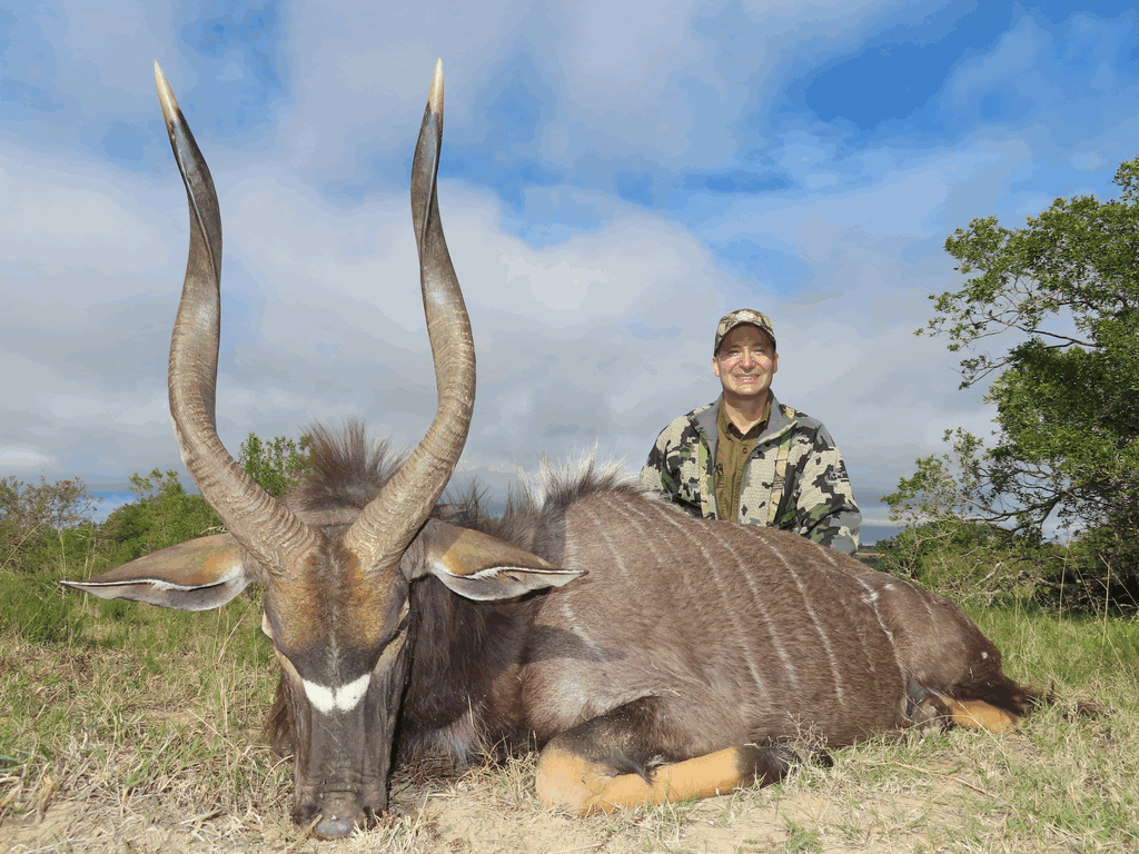 Hunt Nyala in South Africa