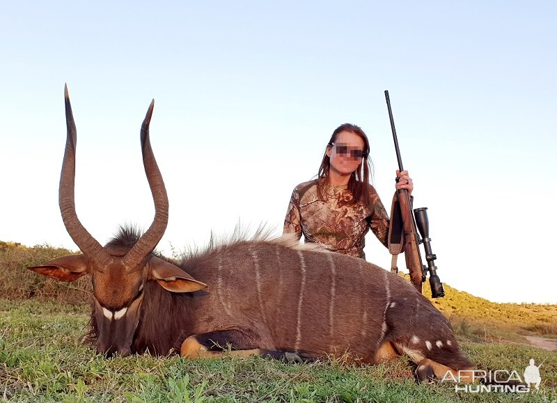 Hunt Nyala in South Africa