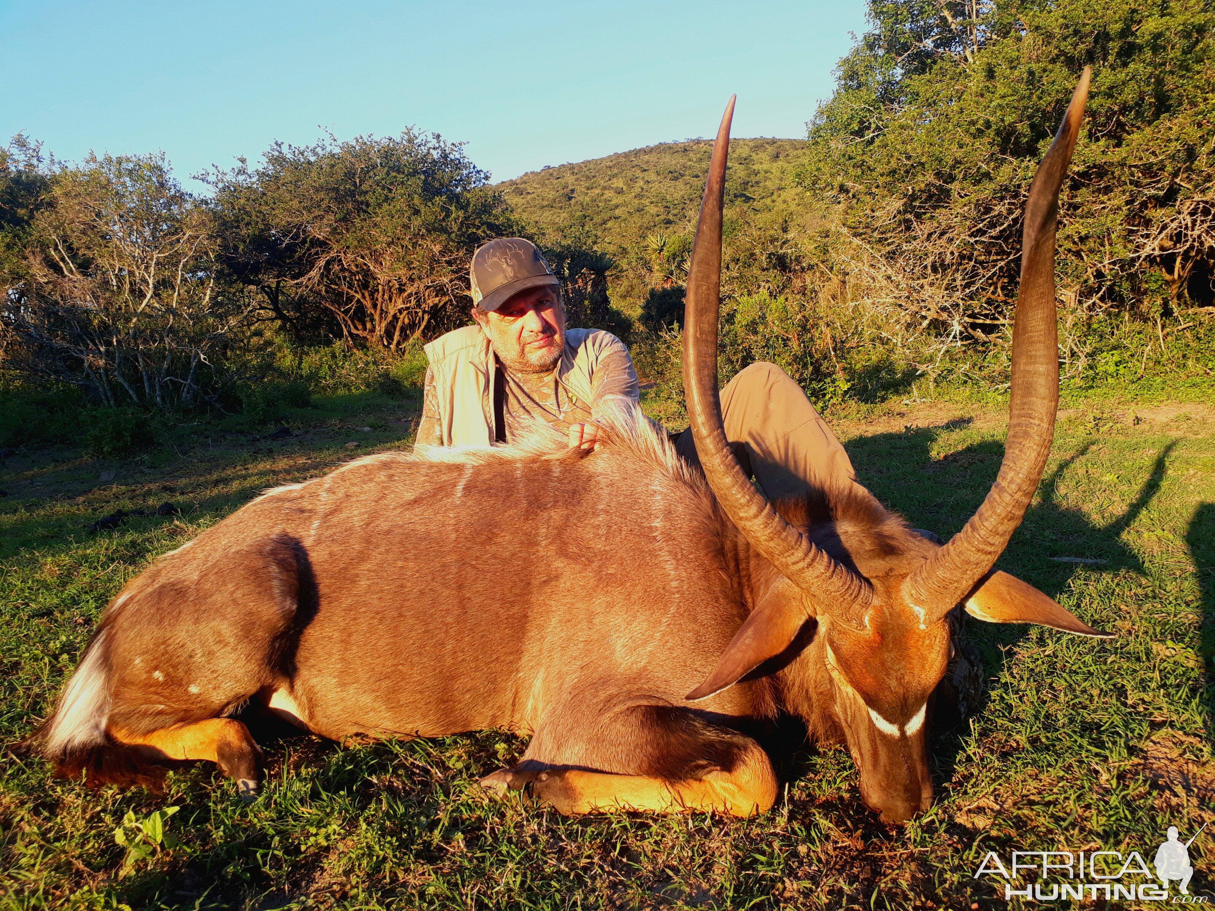 Hunt Nyala in South Africa