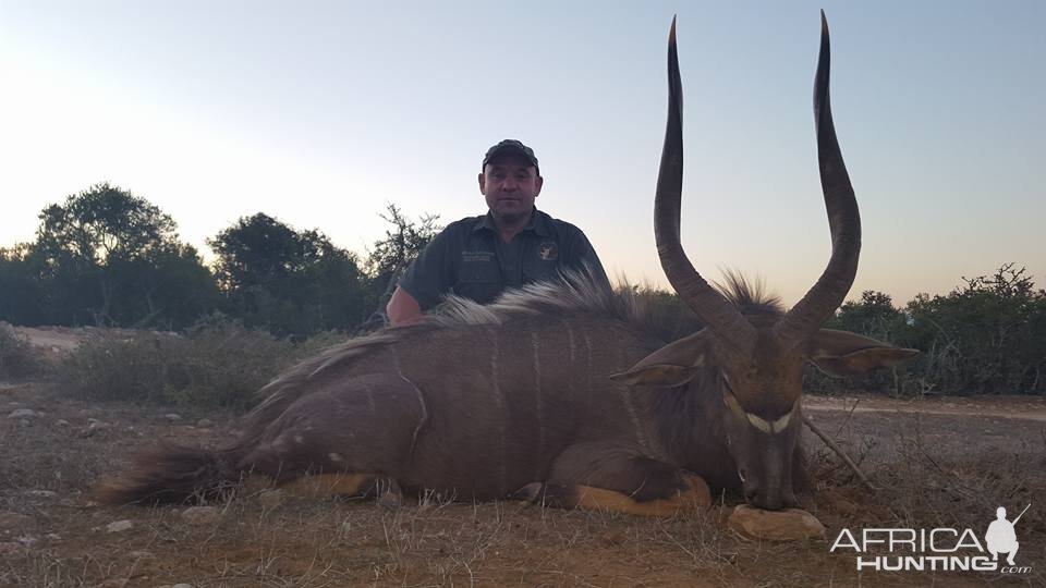 Hunt Nyala South Africa