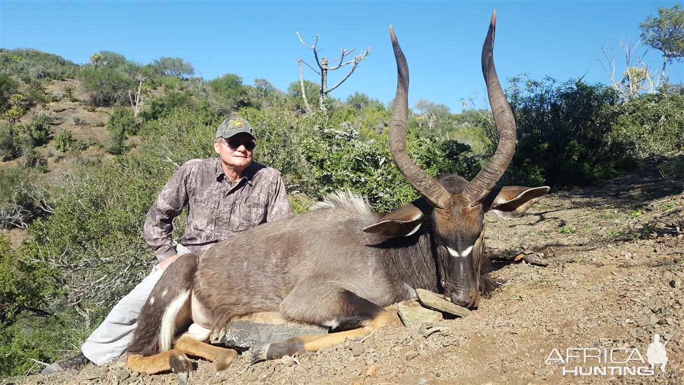 Hunt Nyala South Africa