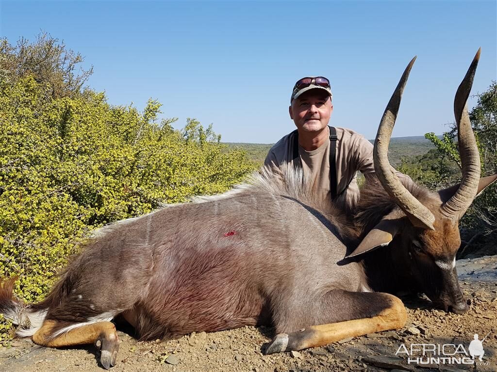 Hunt Nyala South Africa