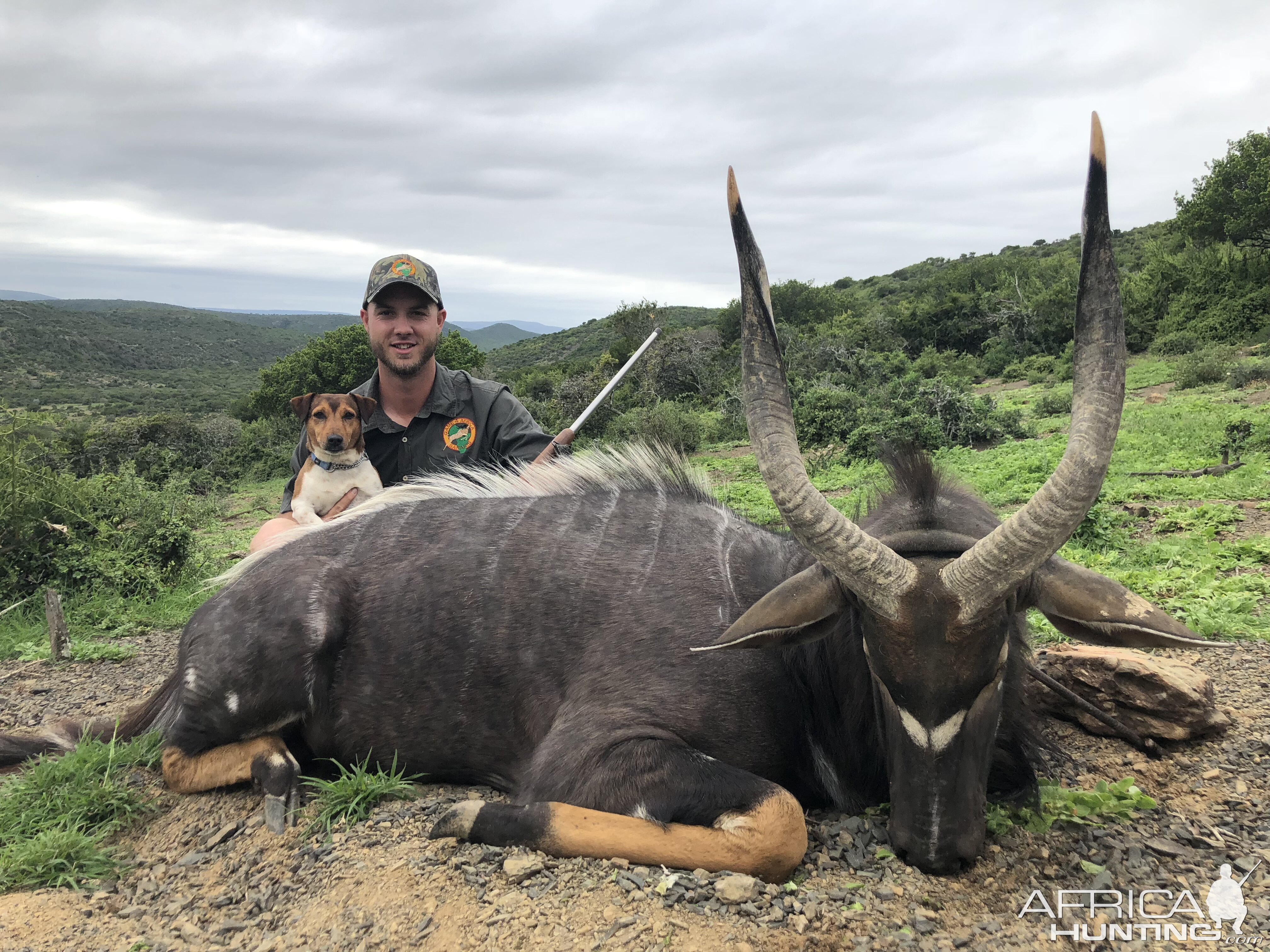 Hunt Nyala South Africa