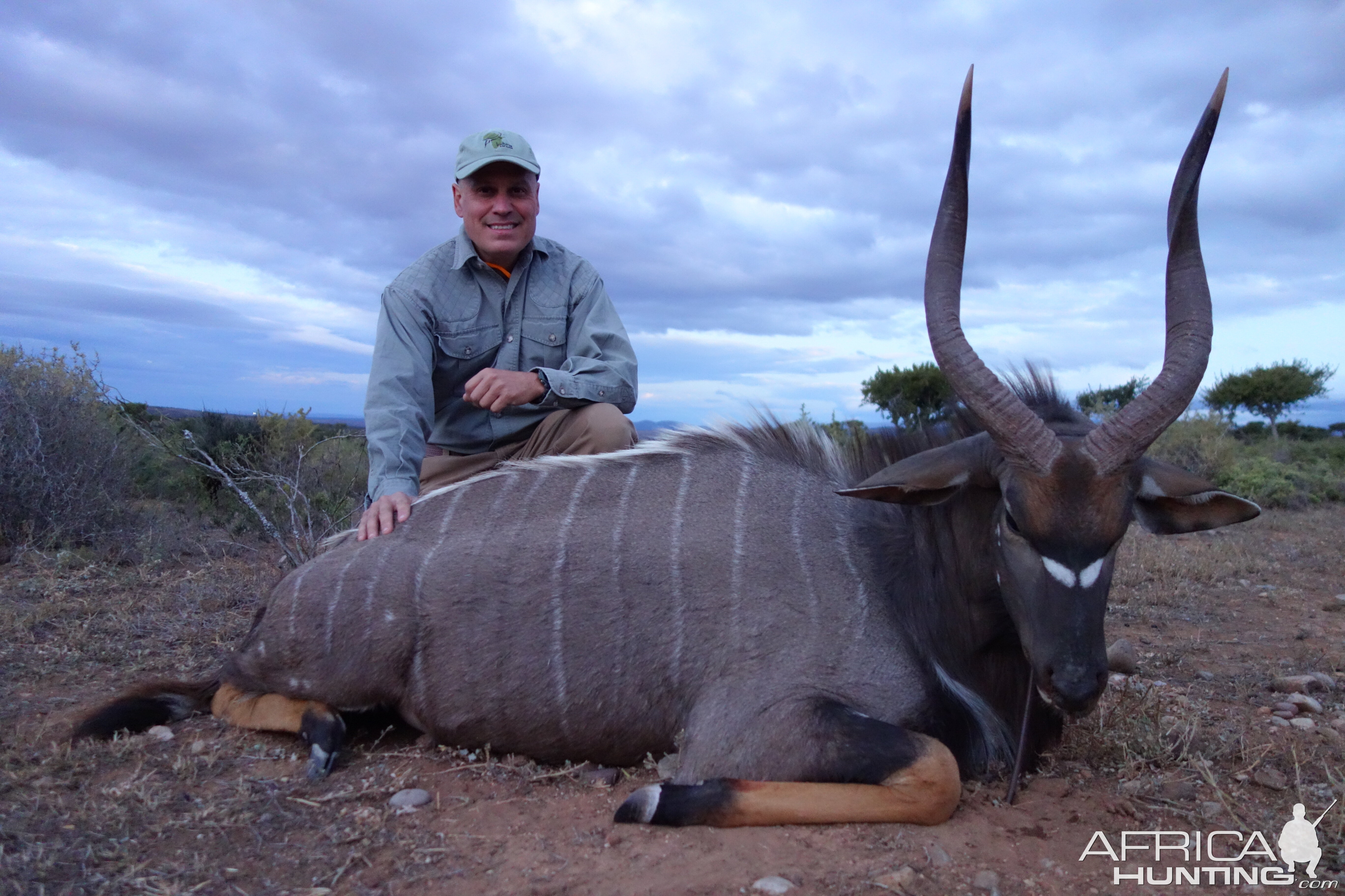 Hunt Nyala South Africa