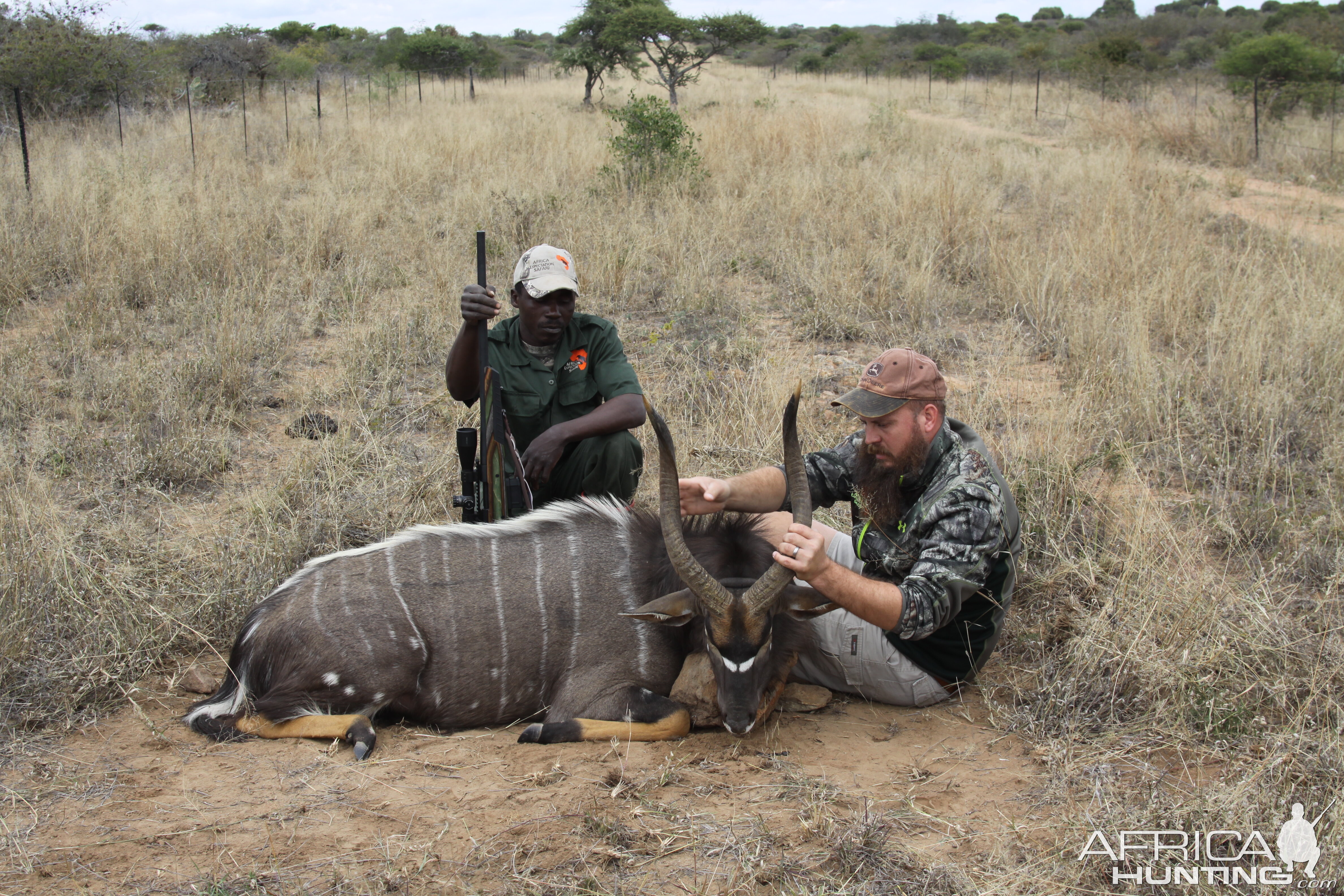 Hunt Nyala