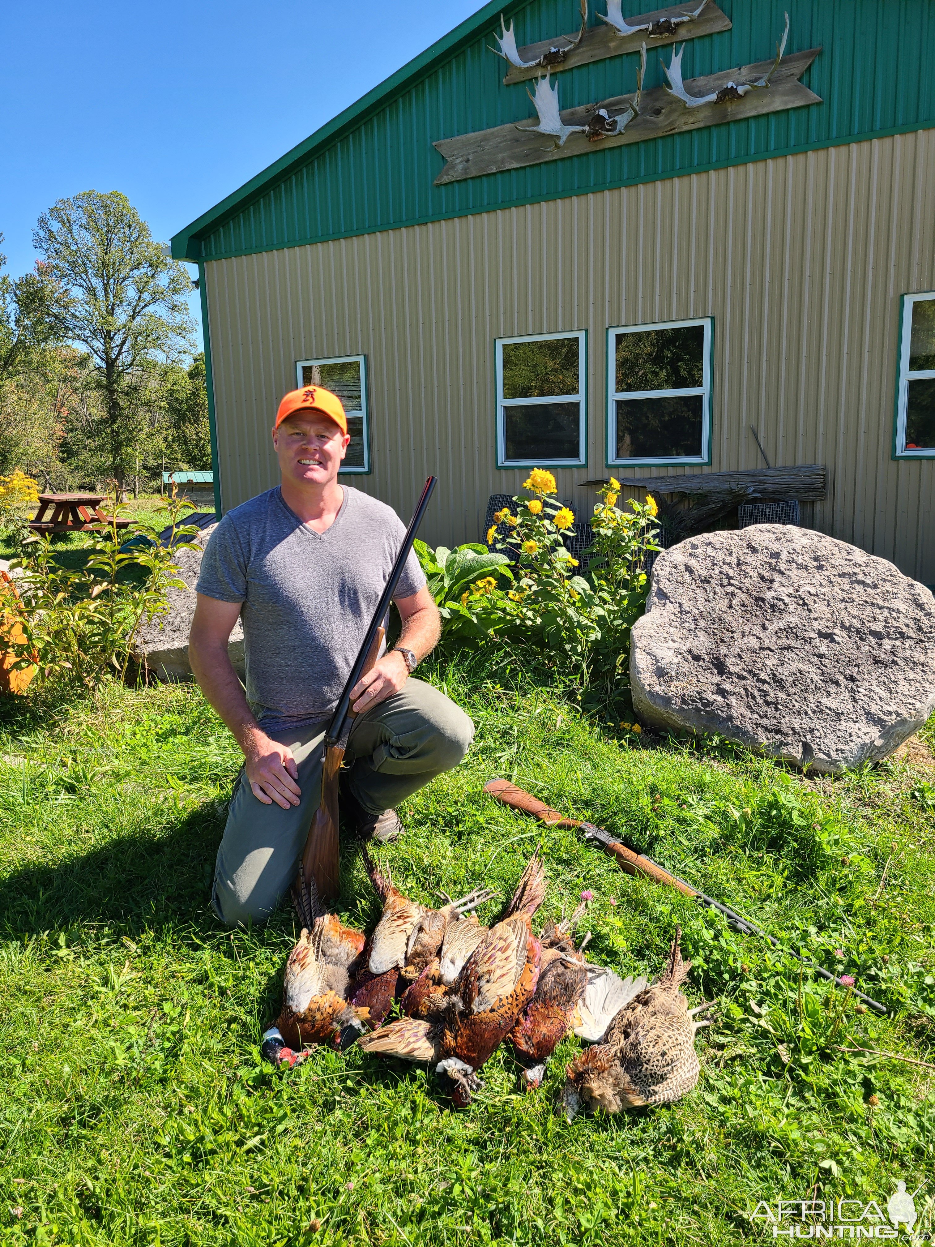 Hunt Pheasants & Bobwhite Quail in Canada