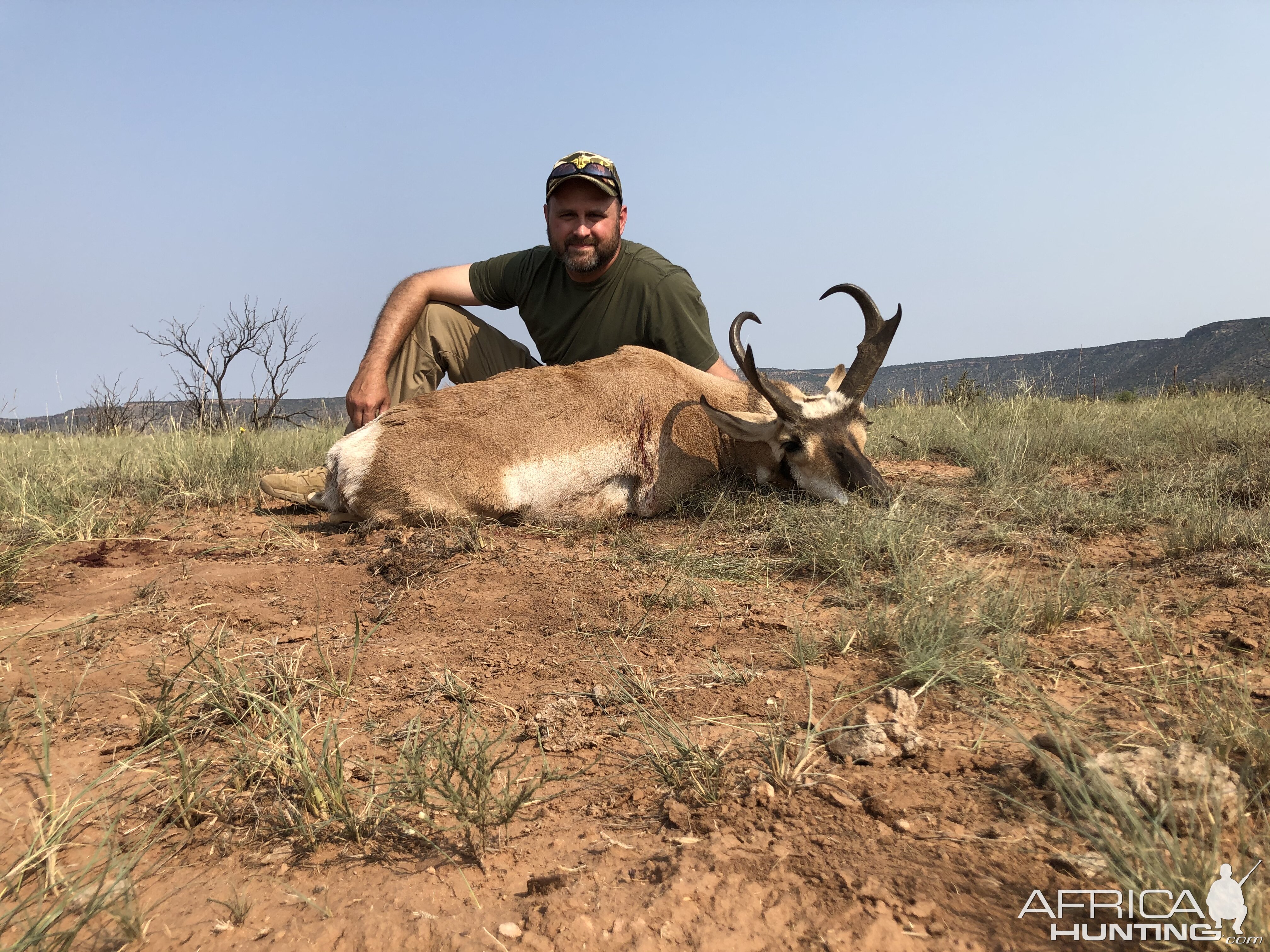 Hunt Pronghorn in NE New Mexico USA