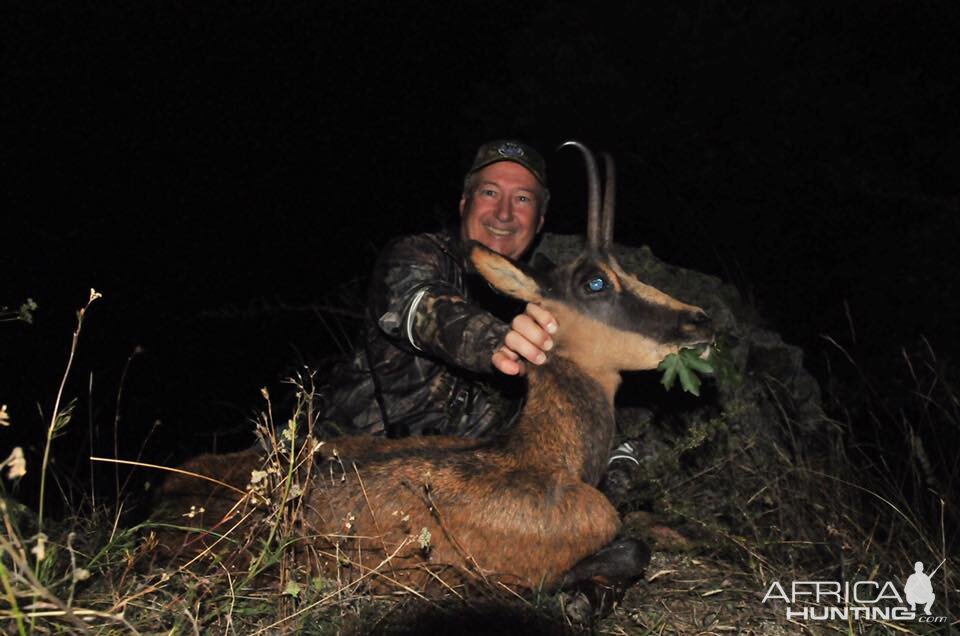 Hunt Pyrenean Chamois France