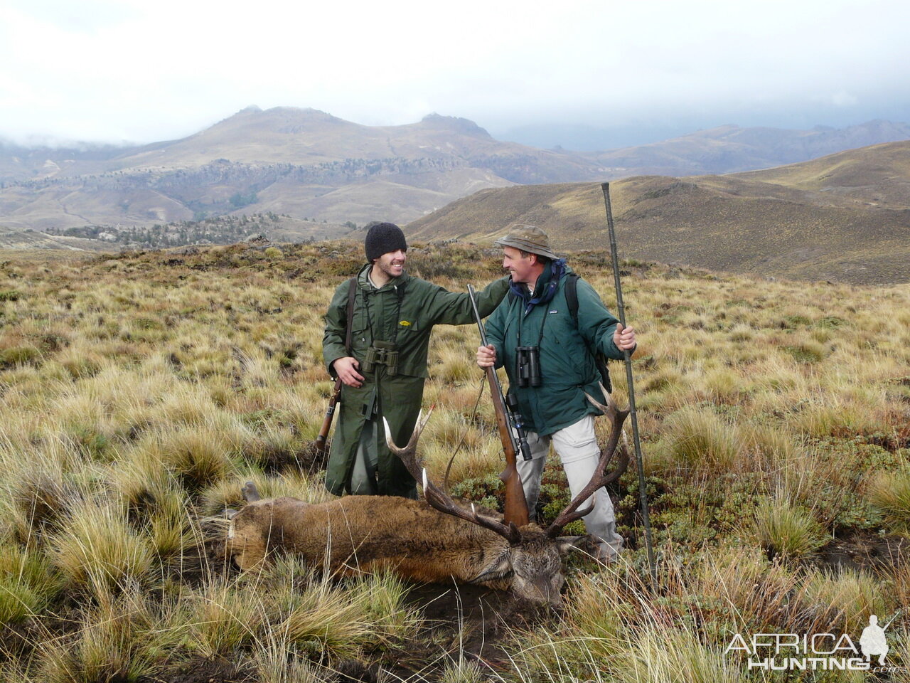 Hunt Red Deer