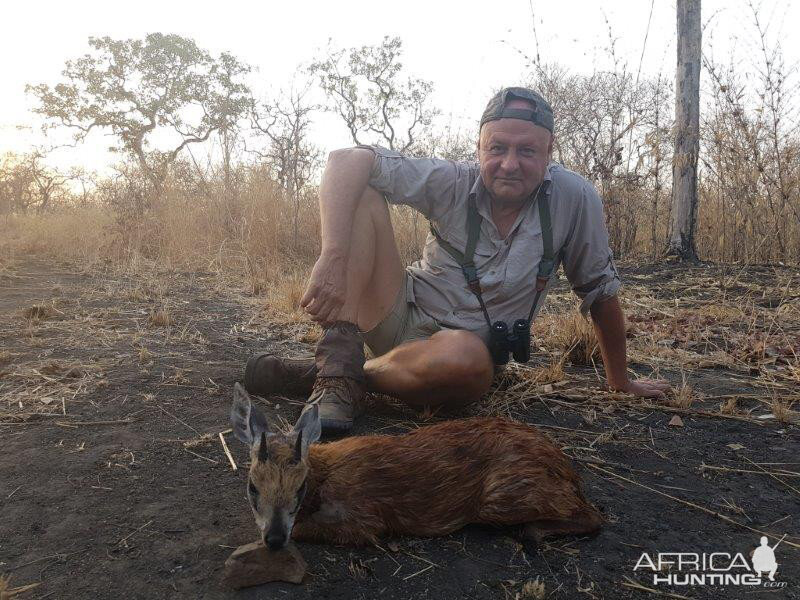 Hunt Red Duiker in Mozambique