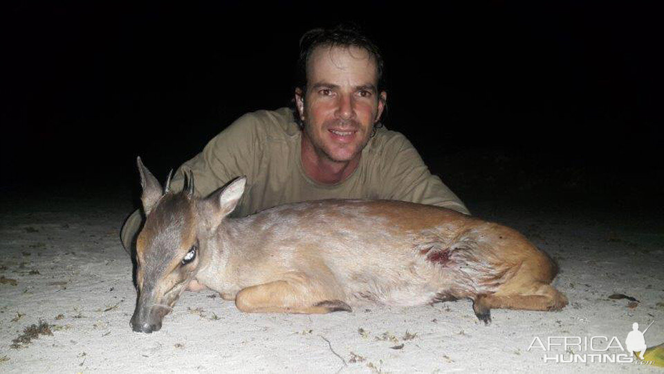 Hunt Red Duiker in Mozambique