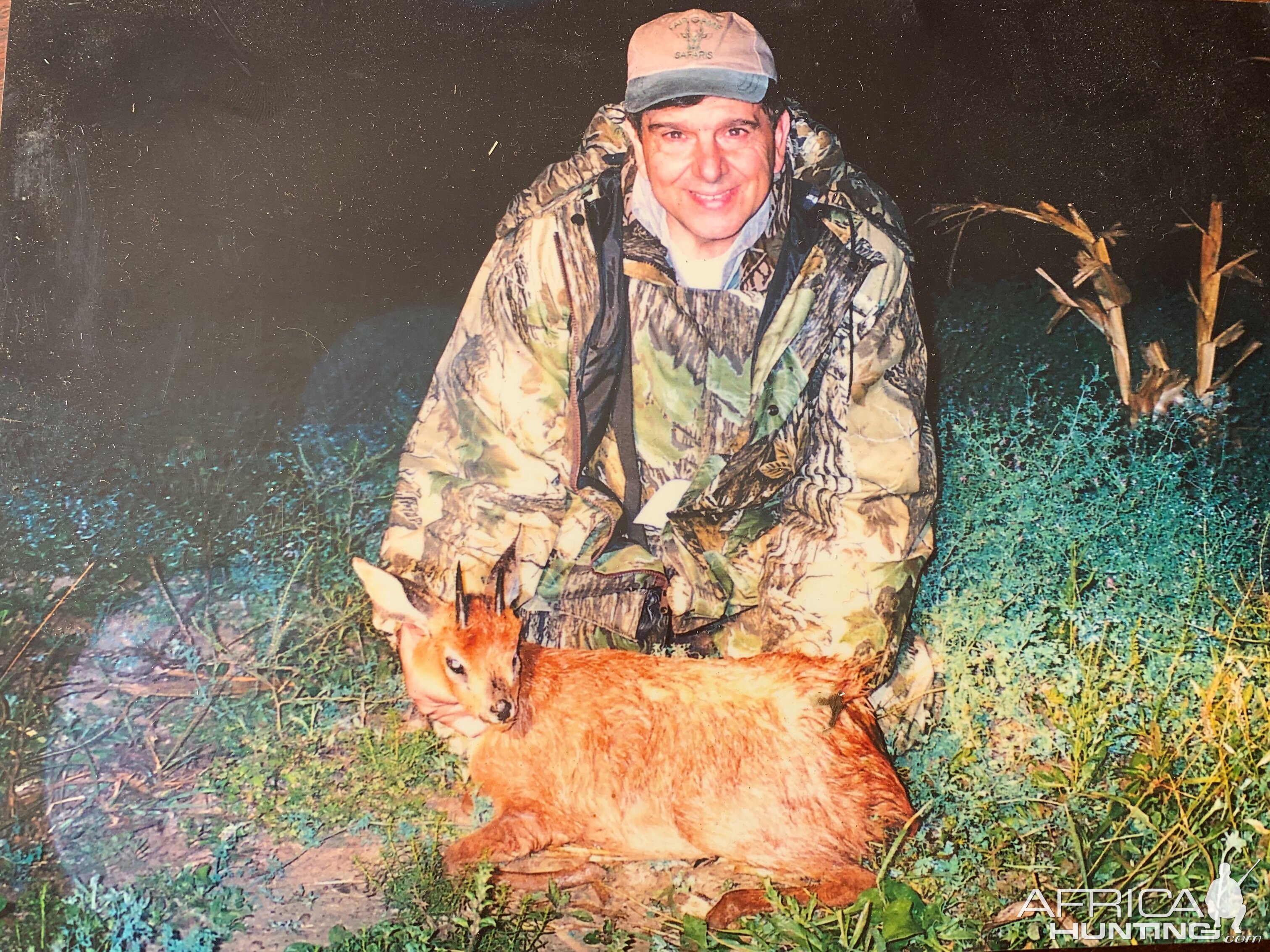 Hunt Red Duiker in South Africa