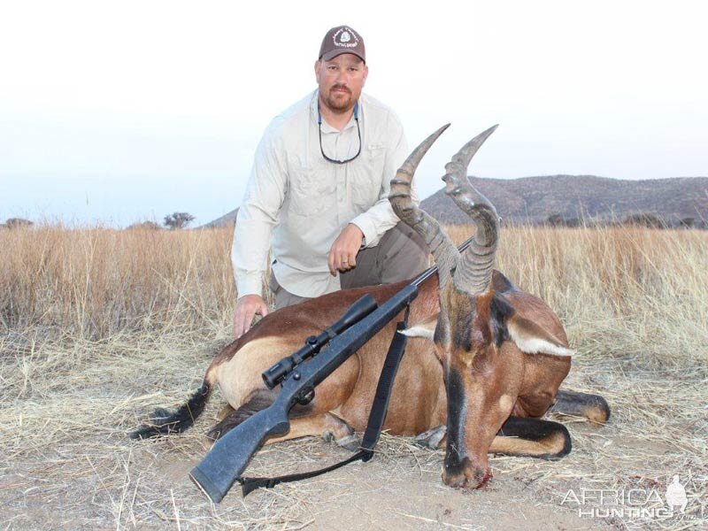 Hunt Red Hartebeest in Namibia