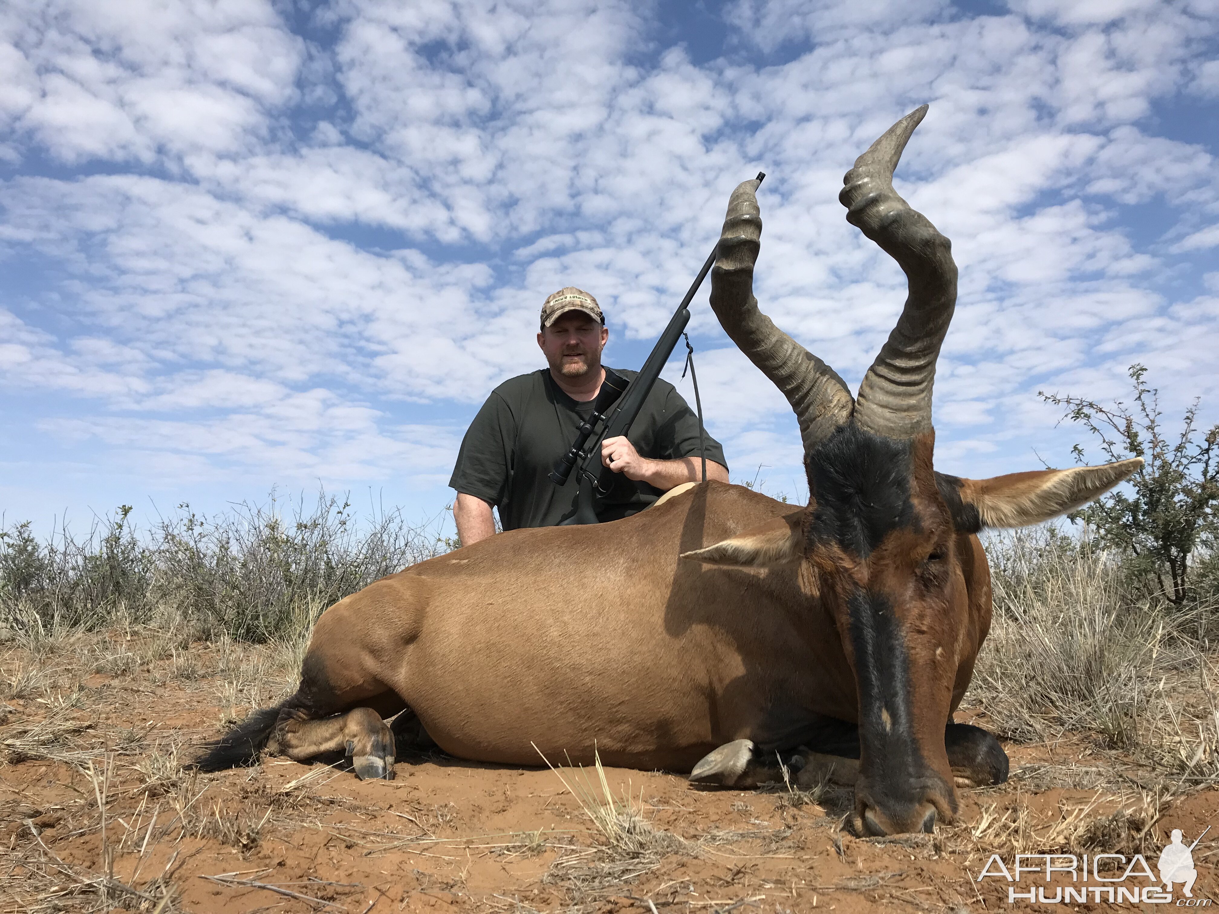 Hunt Red Hartebeest in Namibia