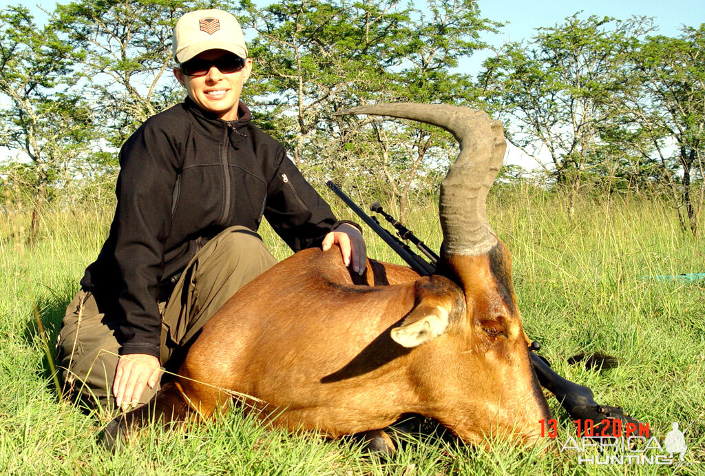 Hunt Red Hartebeest in South Africa