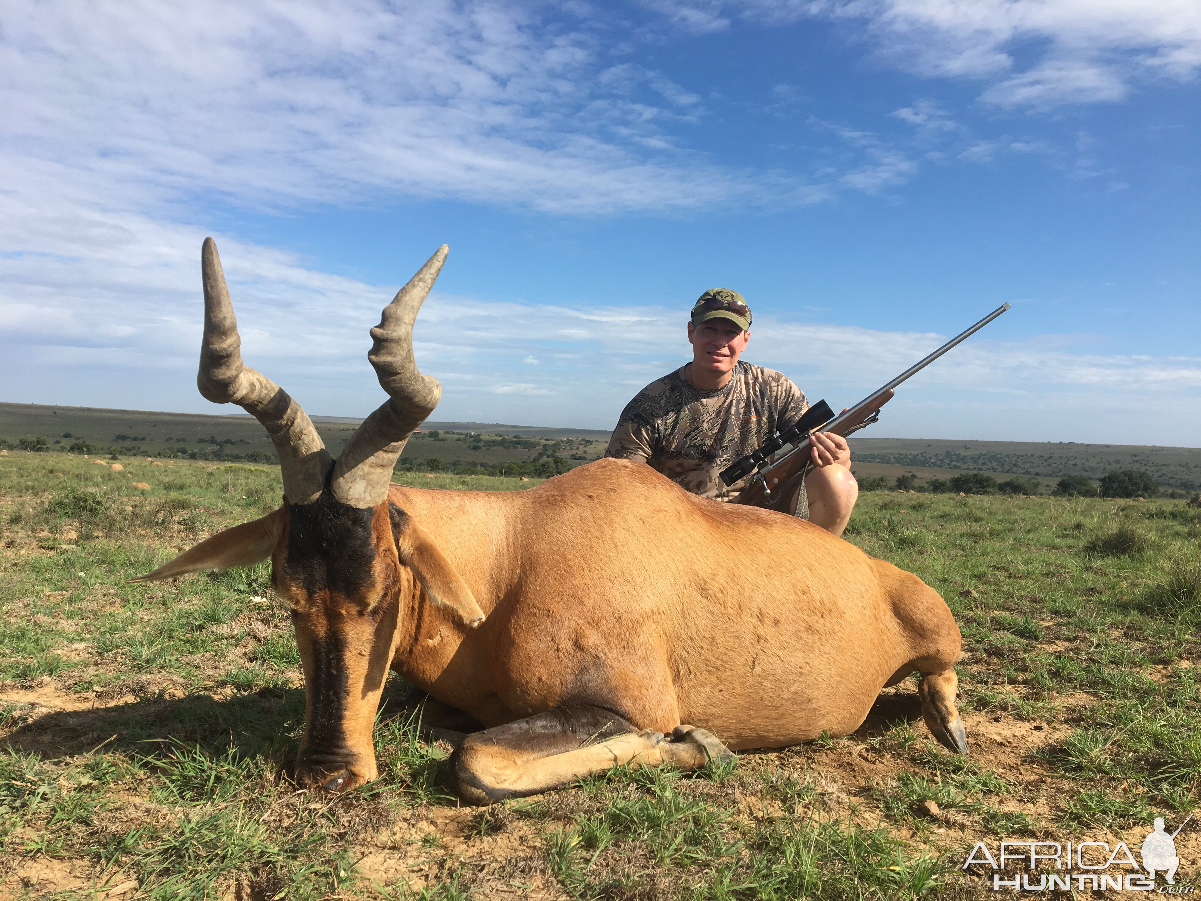 Hunt Red Hartebeest in South Africa