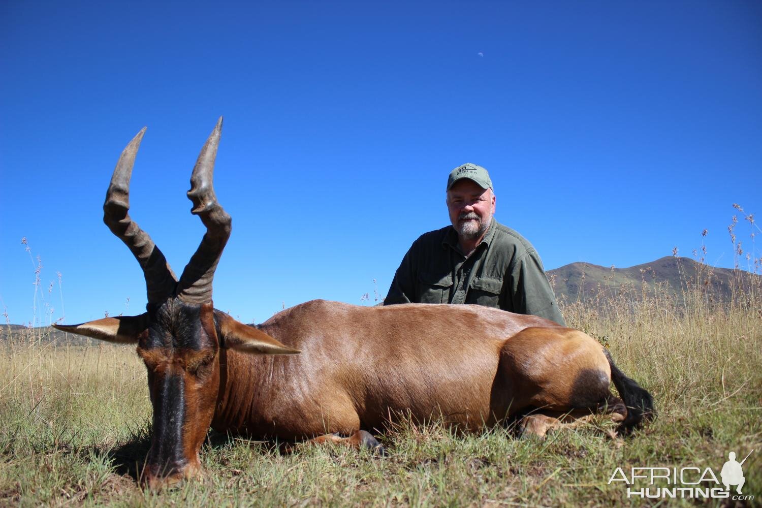 Hunt Red Hartebeest in South Africa