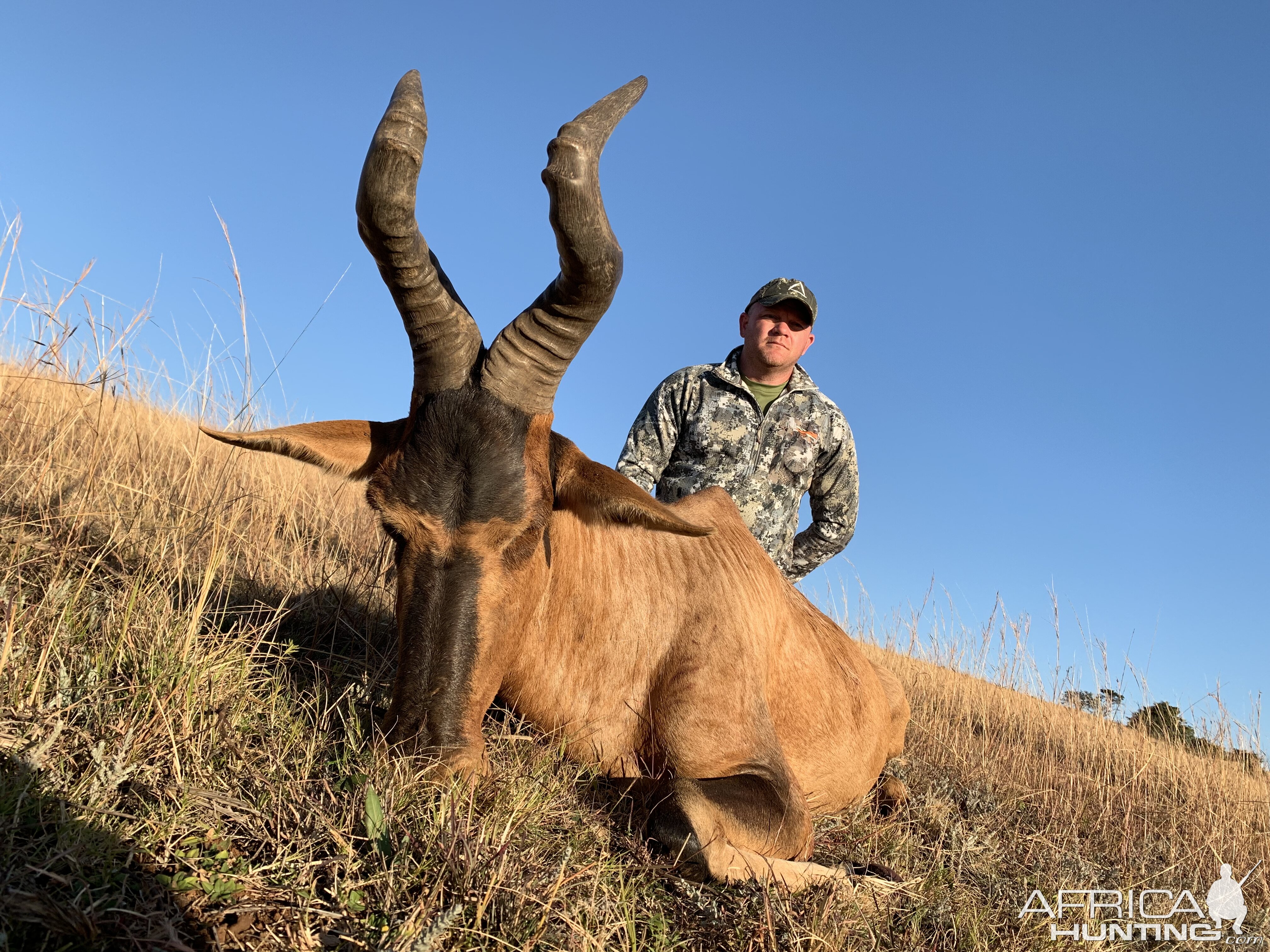 Hunt Red Hartebeest in South Africa