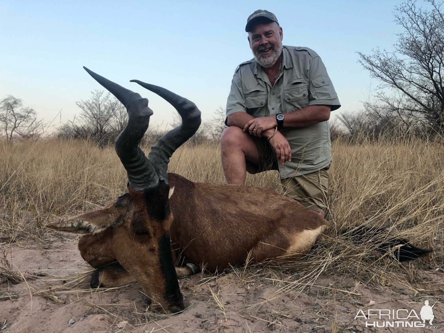 Hunt Red Hartebeest in South Africa