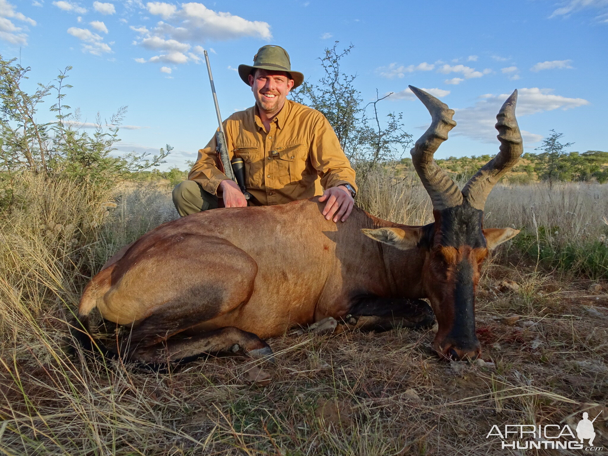 Hunt Red Hartebeest Namibia