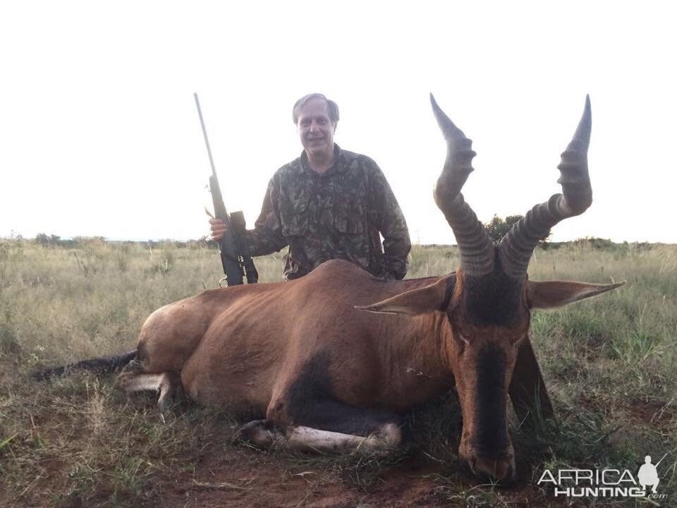 Hunt Red Hartebeest South Africa