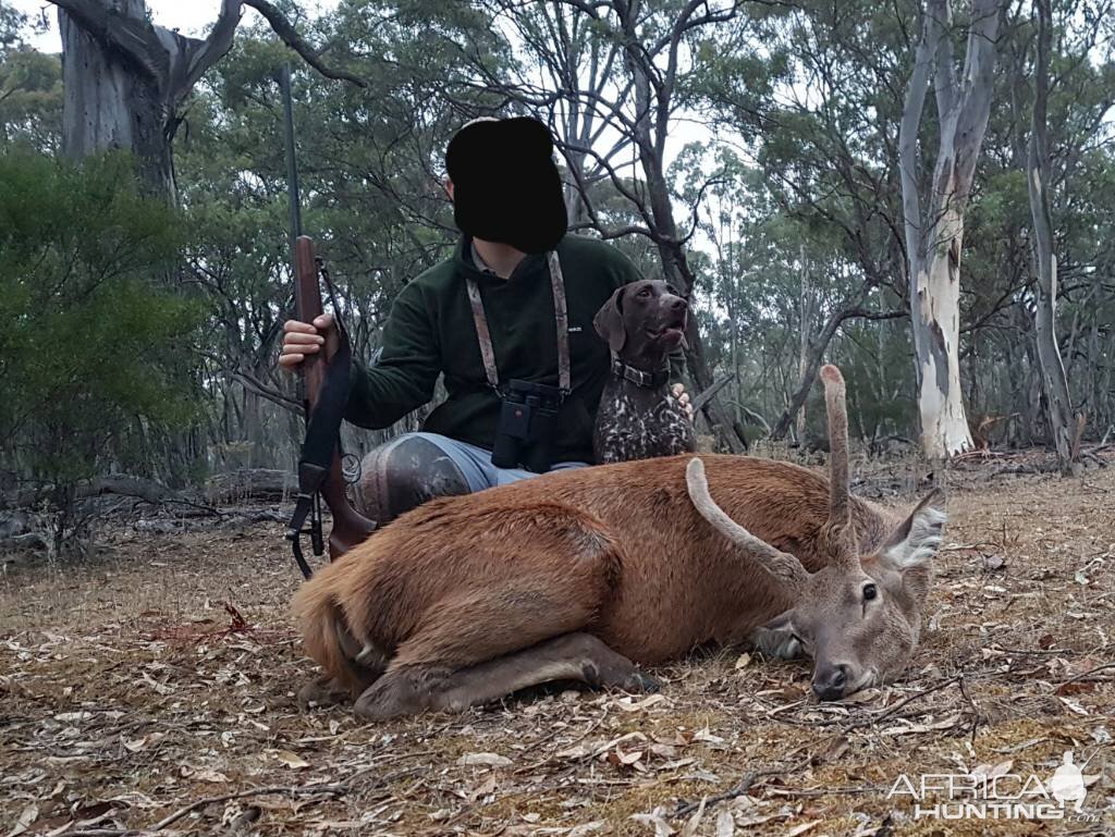 Hunt Red Spike in Australia